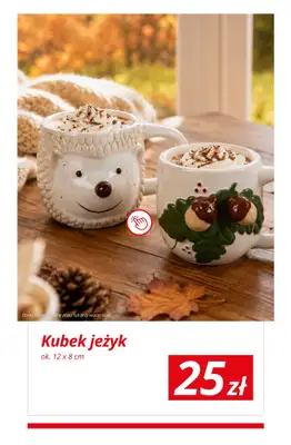 KiK - gazetka promocyjna Jesienne dekoracje w KiK od wtorku 01.09 do niedzieli 06.09 - strona 6