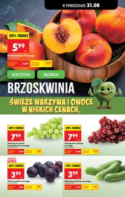 Biedronka - gazetka promocyjna Od poniedziałku od poniedziałku 31.08 do poniedziałku 31.08 - strona 55