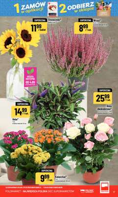 POLOmarket - gazetka promocyjna Gazetka od środy 02.09 do wtorku 08.09 - strona 17