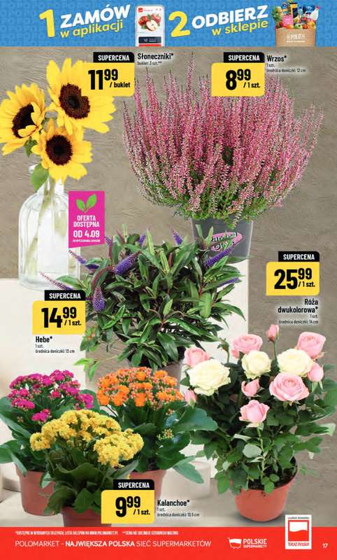 POLOmarket - gazetka promocyjna Gazetka od środy 02.09 do wtorku 08.09 - strona 17