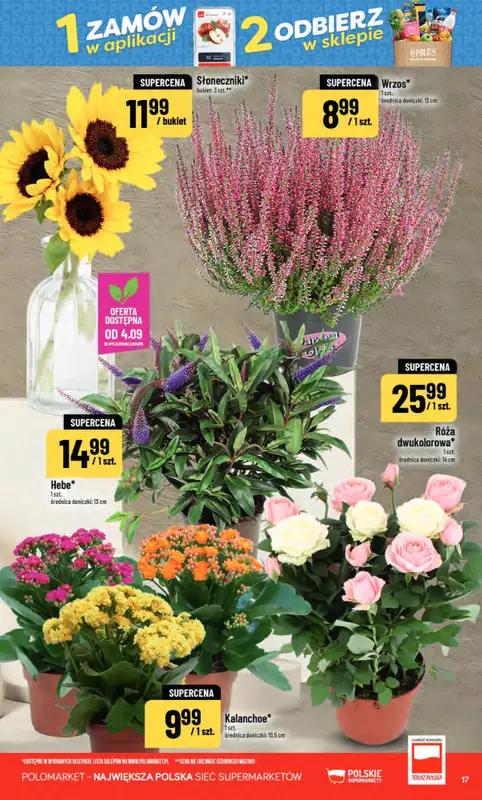 POLOmarket - gazetka promocyjna Gazetka od środy 02.09 do wtorku 08.09 - strona 17