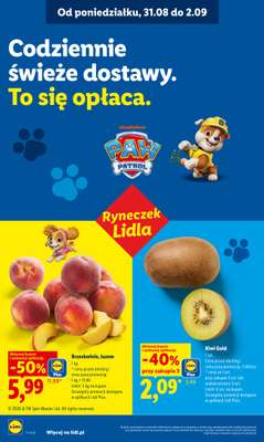 Lidl - gazetka promocyjna Oferta od poniedziałku od poniedziałku 31.08 do środy 02.09 - strona 38