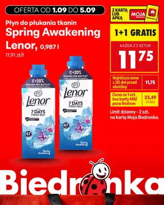 Biedronka - gazetka promocyjna Biedronkowe oszczędności od wtorku od wtorku 01.09 do soboty 05.09 - strona 17
