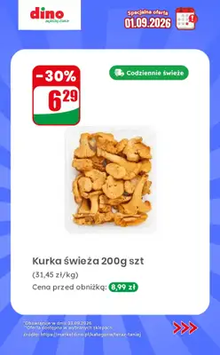 Dino - gazetka promocyjna Specjalna oferta na 01.09.2026 - promocje spoza gazetki od wtorku 01.09 do wtorku 01.09 - strona 2