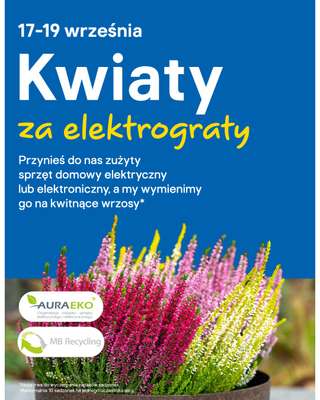 Castorama - gazetka promocyjna Ogród od środy 02.09 do wtorku 15.09 - strona 3