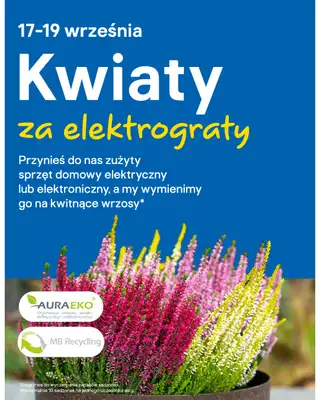 Castorama - gazetka promocyjna Ogród od środy 02.09 do wtorku 15.09 - strona 3