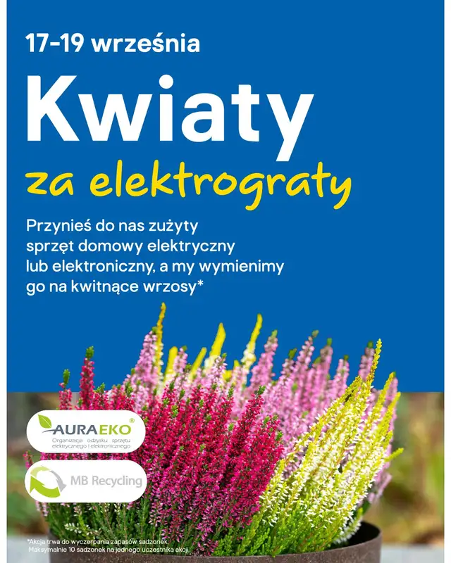 Castorama - gazetka promocyjna Ogród od środy 02.09 do wtorku 15.09 - strona 3