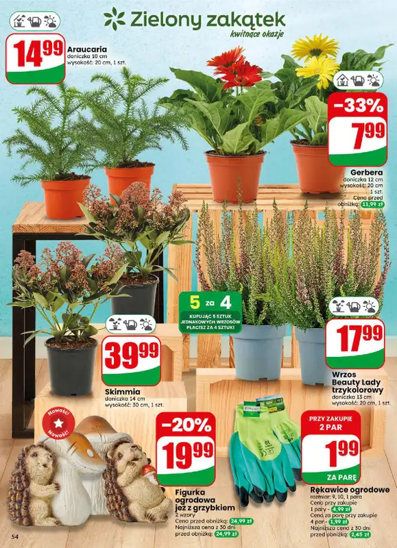 Dino - gazetka promocyjna Gazetka 36 / 2026 od środy 02.09 do wtorku 08.09 - strona 54