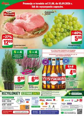 Dino - gazetka promocyjna Gazetka 36 / 2026 od środy 02.09 do wtorku 08.09 - strona 80