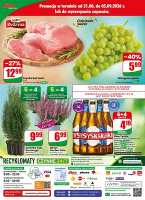 Dino - gazetka promocyjna Gazetka 36 / 2026 od środy 02.09 do wtorku 08.09 - strona 80