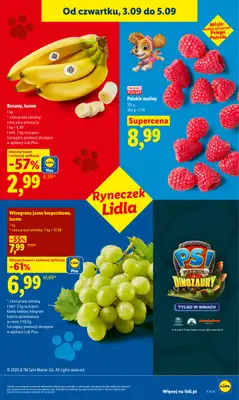Lidl - gazetka promocyjna Oferta od czwartku od czwartku 03.09 do soboty 05.09 - strona 43