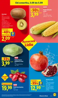 Lidl - gazetka promocyjna Oferta od czwartku od czwartku 03.09 do soboty 05.09 - strona 41