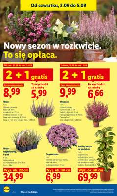 Lidl - gazetka promocyjna Oferta od czwartku od czwartku 03.09 do soboty 05.09 - strona 90