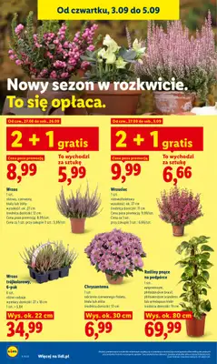 Lidl - gazetka promocyjna Oferta od czwartku od czwartku 03.09 do soboty 05.09 - strona 90