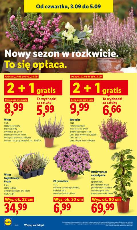 Lidl - gazetka promocyjna Oferta od czwartku od czwartku 03.09 do soboty 05.09 - strona 90