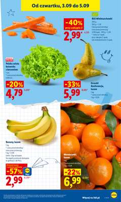 Lidl - gazetka promocyjna Oferta od czwartku od czwartku 03.09 do soboty 05.09 - strona 45