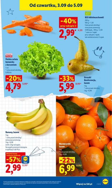 Lidl - gazetka promocyjna Oferta od czwartku od czwartku 03.09 do soboty 05.09 - strona 45