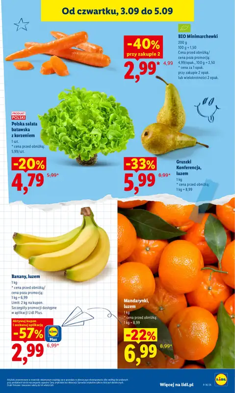 Lidl - gazetka promocyjna Oferta od czwartku od czwartku 03.09 do soboty 05.09 - strona 45