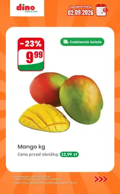 Dino - gazetka promocyjna Specjalna oferta na 02.09.2026 - promocje spoza gazetki od środy 02.09 do środy 02.09 - strona 2