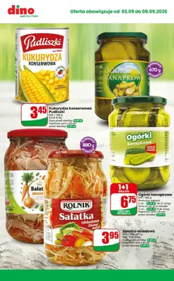 Dino - gazetka promocyjna MEGA promocje! od środy 02.09 do wtorku 08.09 - strona 10