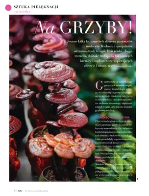 Hebe - gazetka promocyjna Magazyn od środy 02.09 do soboty 31.10 - strona 44