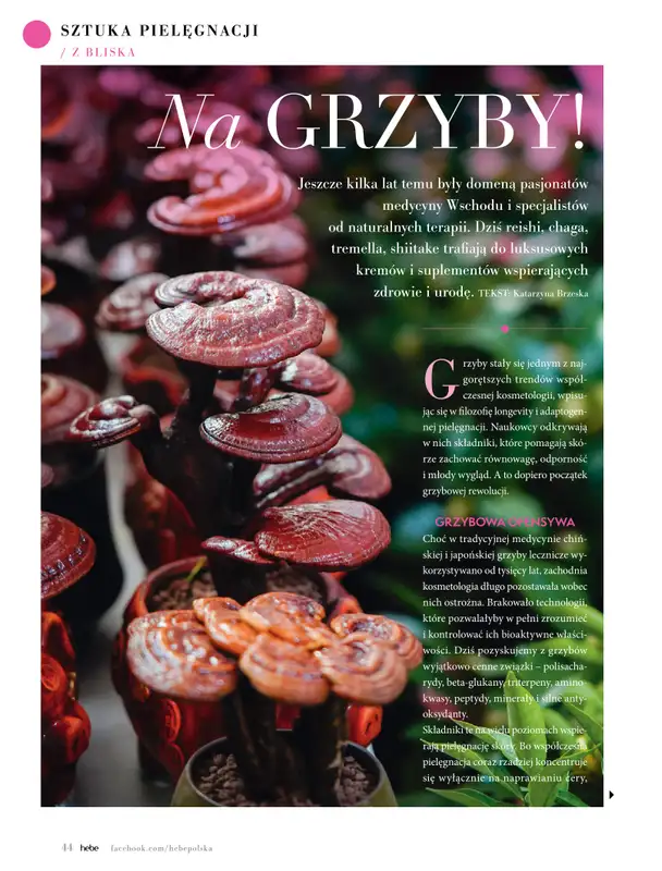Hebe - gazetka promocyjna Magazyn od środy 02.09 do soboty 31.10 - strona 44