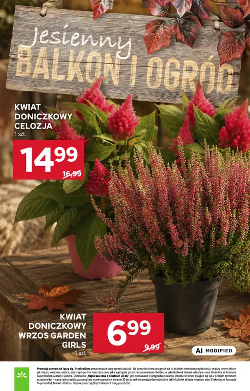 Stokrotka - gazetka promocyjna Gazetka Market od czwartku 03.09 do środy 09.09 - strona 15