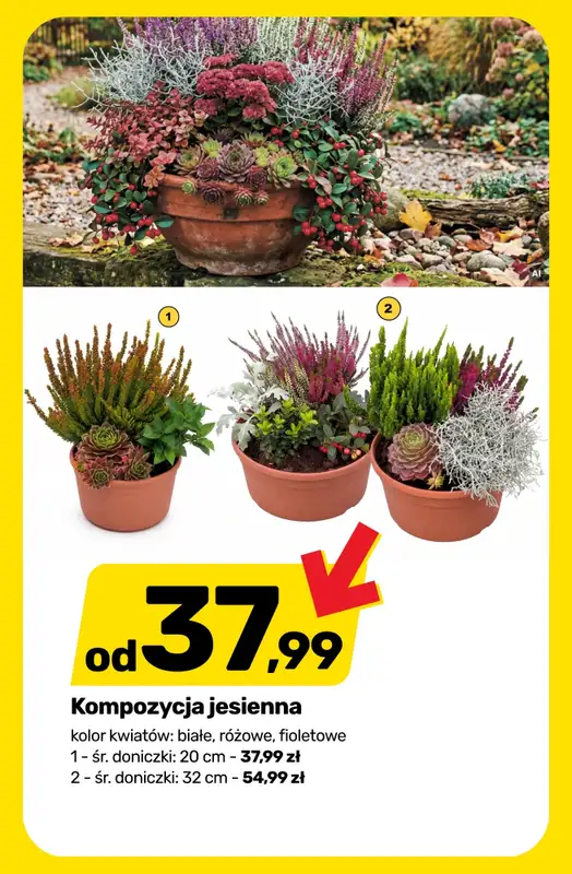 Bricomarche - gazetka promocyjna Przygotuj ogród na JESIEŃ! od środy 02.09 do soboty 05.09 - strona 7
