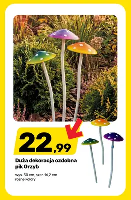 Bricomarche - gazetka promocyjna Przygotuj ogród na JESIEŃ! od środy 02.09 do soboty 05.09 - strona 2
