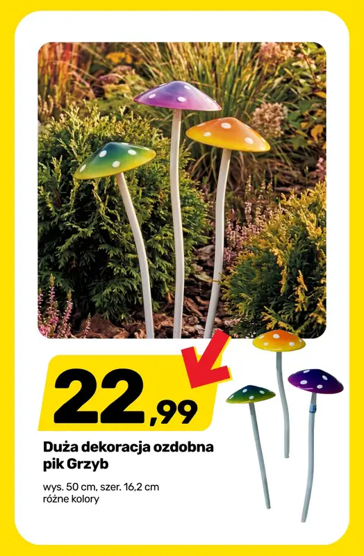 Bricomarche - gazetka promocyjna Przygotuj ogród na JESIEŃ! od środy 02.09 do soboty 05.09 - strona 2