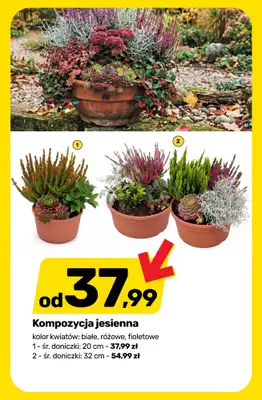 Bricomarche - gazetka promocyjna Przygotuj ogród na JESIEŃ! od środy 02.09 do soboty 05.09 - strona 7