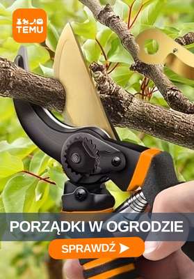 Temu - gazetka promocyjna Porządki w ogrodzie od środy 02.09 