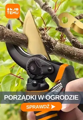 Temu - gazetka promocyjna Porządki w ogrodzie od środy 02.09 