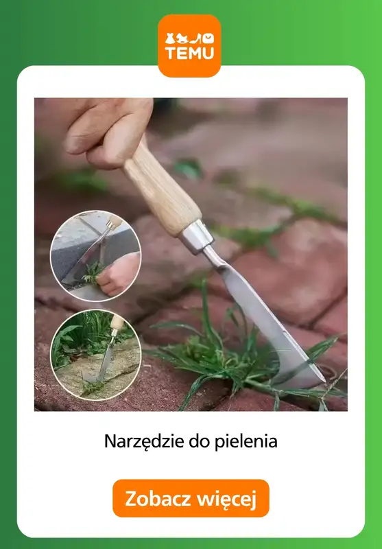 Temu - gazetka promocyjna Porządki w ogrodzie od środy 02.09  - strona 11