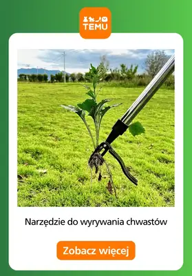Temu - gazetka promocyjna Porządki w ogrodzie od środy 02.09  - strona 7