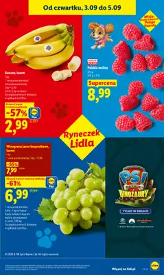 Lidl - gazetka promocyjna Oferta od czwartku od czwartku 03.09 do soboty 05.09 - strona 43