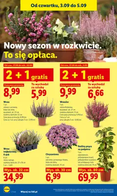 Lidl - gazetka promocyjna Oferta od czwartku od czwartku 03.09 do soboty 05.09 - strona 90