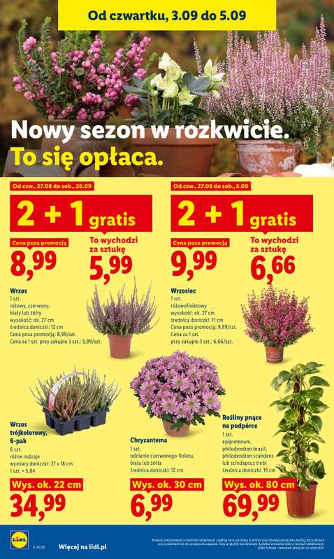 Lidl - gazetka promocyjna Oferta od czwartku od czwartku 03.09 do soboty 05.09 - strona 90