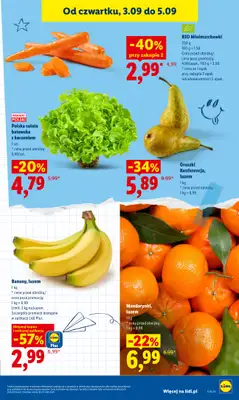 Lidl - gazetka promocyjna Oferta od czwartku od czwartku 03.09 do soboty 05.09 - strona 45