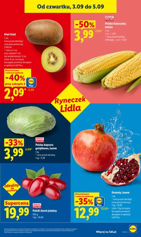 Lidl - gazetka promocyjna Oferta od czwartku od czwartku 03.09 do soboty 05.09 - strona 41