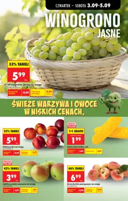 Biedronka - gazetka promocyjna Od czwartku od czwartku 03.09 do środy 09.09 - strona 29