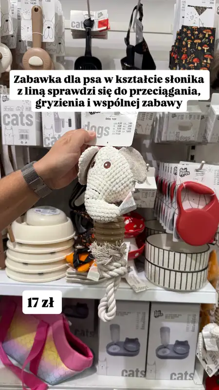 Pepco - gazetka promocyjna Zakupowe inspiracje w Pepco od czwartku 03.09  - strona 7