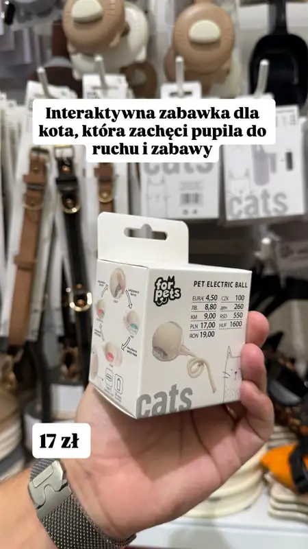 Pepco - gazetka promocyjna Zakupowe inspiracje w Pepco od czwartku 03.09  - strona 9