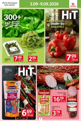 Selgros - gazetka promocyjna Sprawdź, co więcej od czwartku 03.09 do środy 09.09 - strona 3