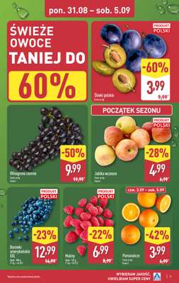 Aldi - gazetka promocyjna Pełny katalog! od poniedziałku 31.08 do soboty 05.09 - strona 3