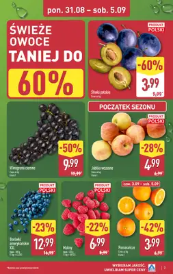 Aldi - gazetka promocyjna Pełny katalog! od poniedziałku 31.08 do soboty 05.09 - strona 3