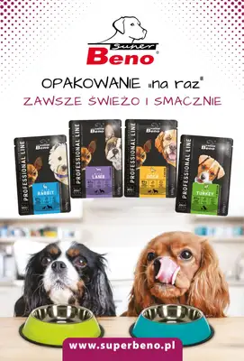 Aquael zoo - gazetka promocyjna Gazetka od czwartku 03.09 do środy 30.09 - strona 12