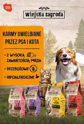 Aquael zoo - gazetka promocyjna Gazetka od czwartku 03.09 do środy 30.09 - strona 10