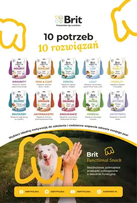 Aquael zoo - gazetka promocyjna Gazetka od czwartku 03.09 do środy 30.09 - strona 13