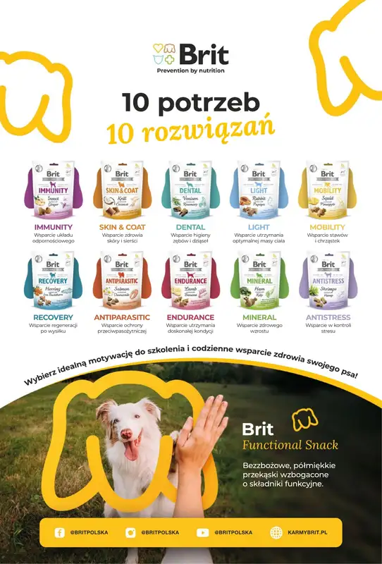 Aquael zoo - gazetka promocyjna Gazetka od czwartku 03.09 do środy 30.09 - strona 13